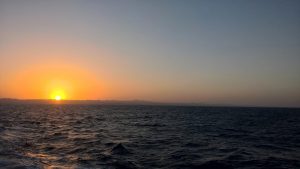 20180919_195833047_iOS